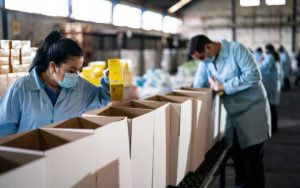 Intendente se reúne con alcaldes de Atacama para coordinar ejecución del programa Alimentos para Chile