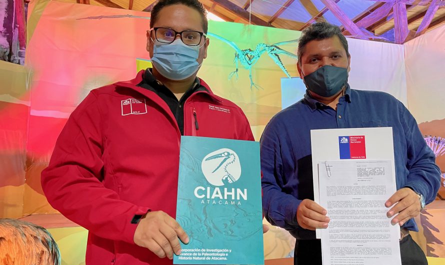 SEREMI DE BIENES NACIONALES ENTREGÓ TRES CONCESIONES A LA CORPORACIÓN DE INVESTIGACIÓN Y AVANCE DE LA PALEONTOLOGÍA DE ATACAMA