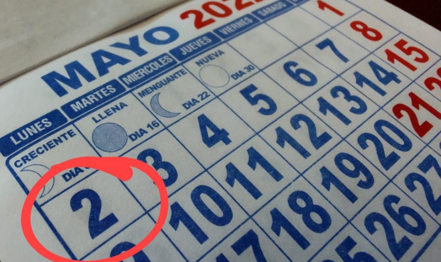 Anuncian proyecto para declarar feriado este lunes 2 de mayo