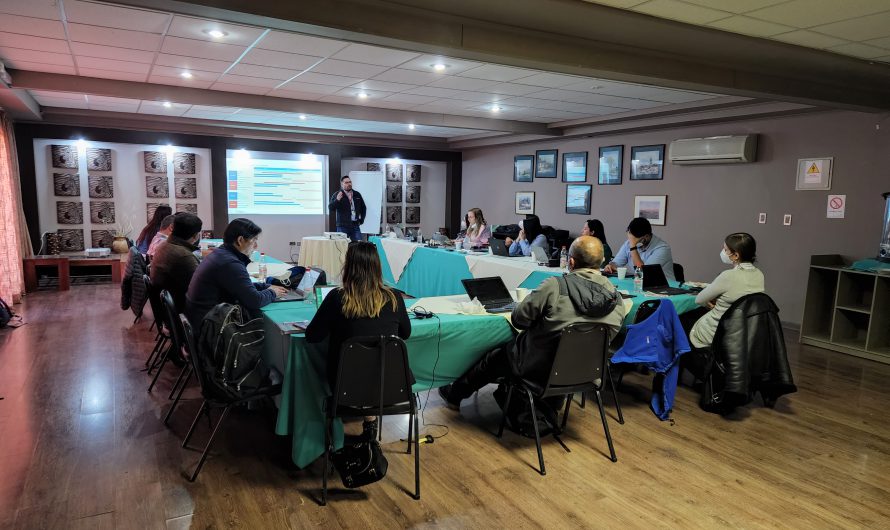 Gestores divisionales de Codelco Salvador se capacitan con miras al proyecto Rajo Inca
