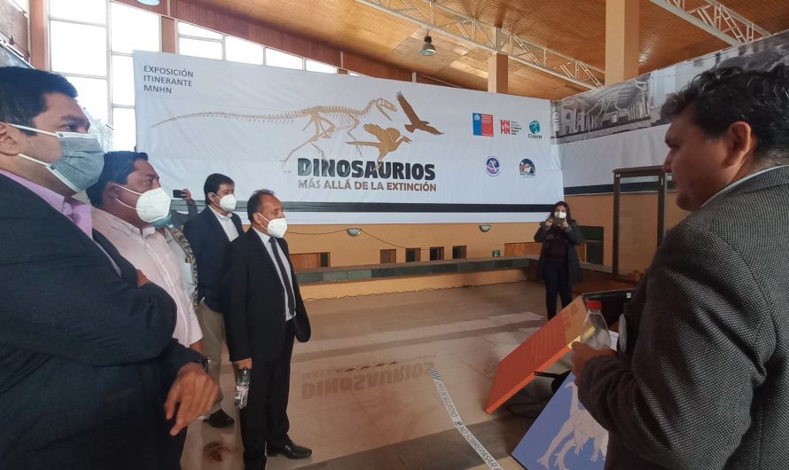 Inauguración de exhibición:  «DINOSAURIOS, MÁS ALLÁ DE LA EXTINCIÓN» en diego de almagro-