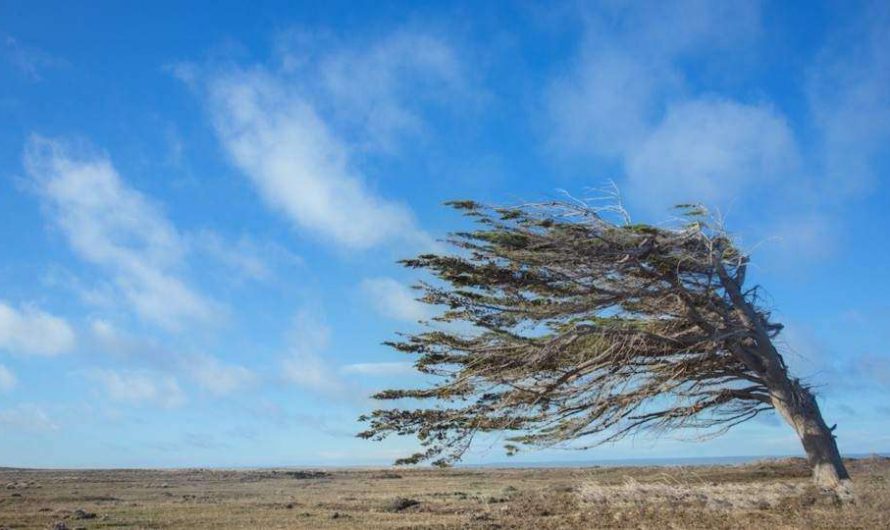 Se actualiza Alerta Temprana Preventiva para las comunas de Diego de Almagro, Copiapó, Tierra Amarilla y Alto del Carmen por viento