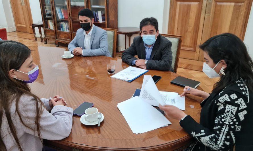 Gobernador de Atacama solicitó al Gobierno declarar Zona Afectada por Catástrofe Ambiental a Tierra Amarilla
