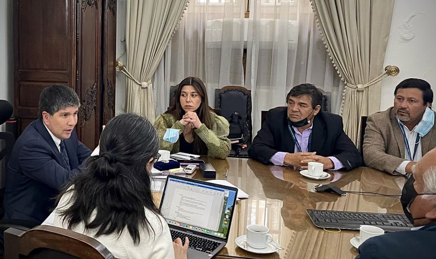 Pequeños mineros y Diputada Cicardini se reúnen con Subsecretario Monsalve por ola de robos en faenas