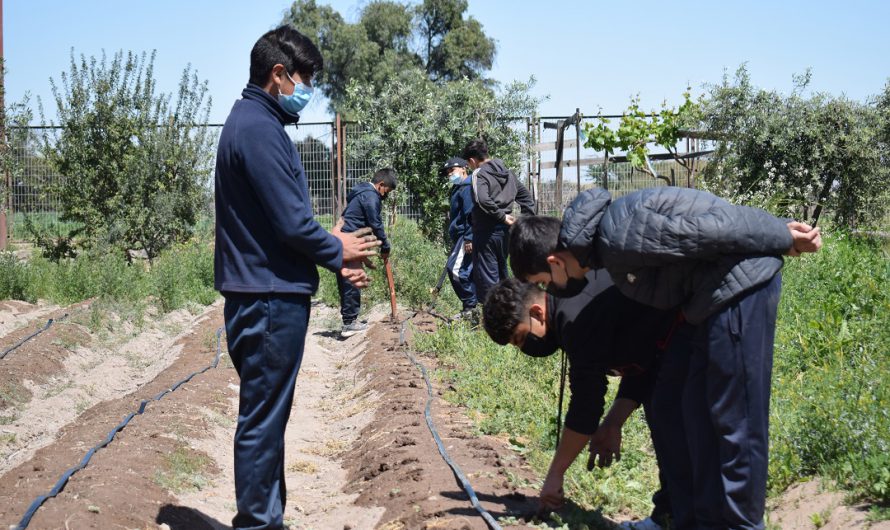 Nueva Atacama y APECO se unen para impulsar Huerto Sustentable en Escuela Rural San Pedro