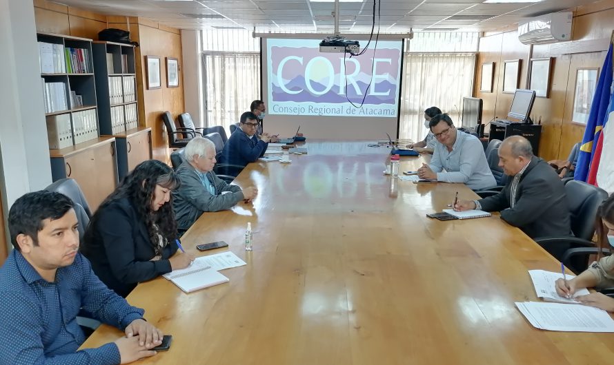 Comisión del CORE Atacama analiza medidas para poner tranca a ocupación  ilegal en zonas costeras