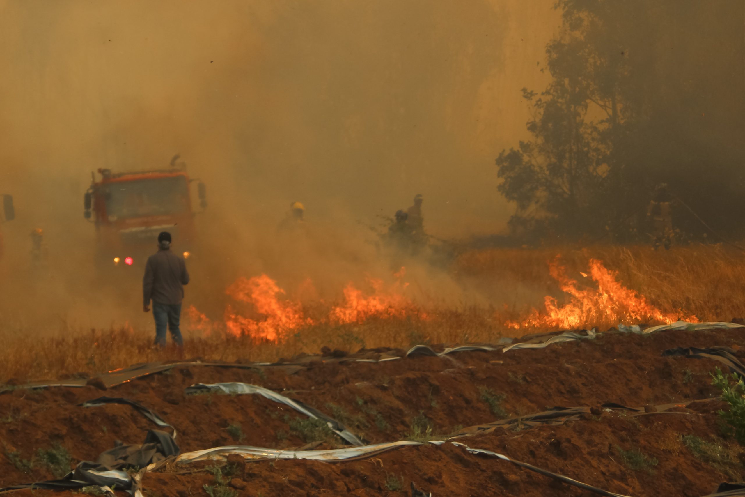 Gobierno indica 283 incendios activos en Chile: Remarca que «perseguirá severamente» a responsables