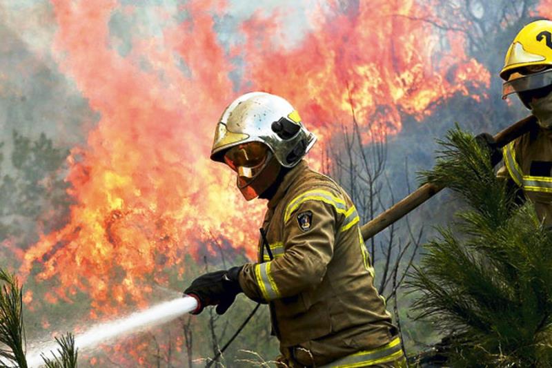 Incendios forestales dejan 23 fallecidos y casi mil heridos según último balance del Gobierno