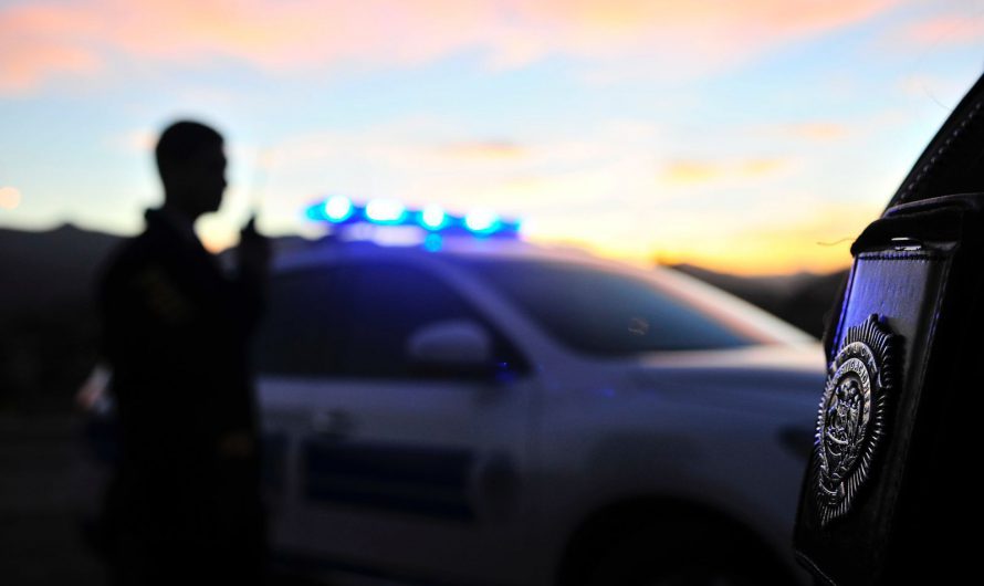 PDI ATACAMA REALIZA DILIGENCIAS INVESTIGATIVAS POR DENUNCIA DE MALTRATO ANIMAL