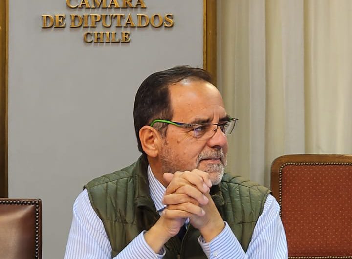 Diputado Mulet sobre renovación de licencias de conducir: “Esto permitirá bajar el atochamiento en los municipios”