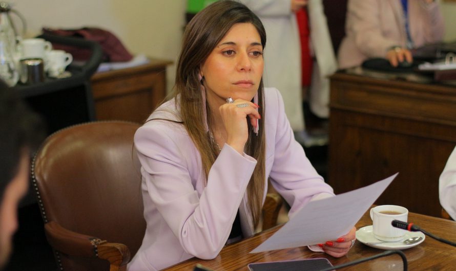 Diputada Cicardini por nueva directora (s) SLEP:   “No era el nombre ni el momento, y es apagar el fuego con bencina”