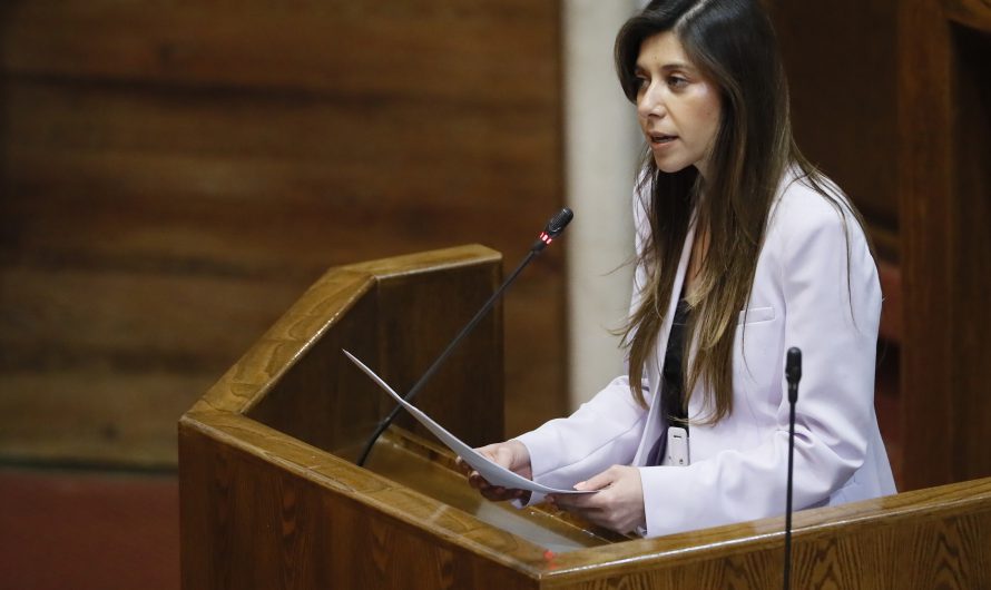 Importante gestion de diputada cicardini ante emergencia en inca de oro