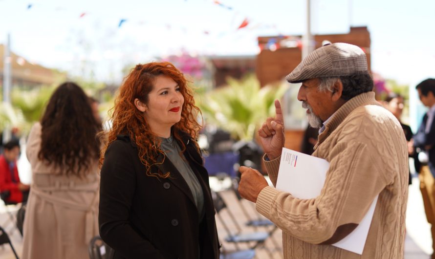 Hacia un Atacama más saludable: el rol del Estado en la salud mental