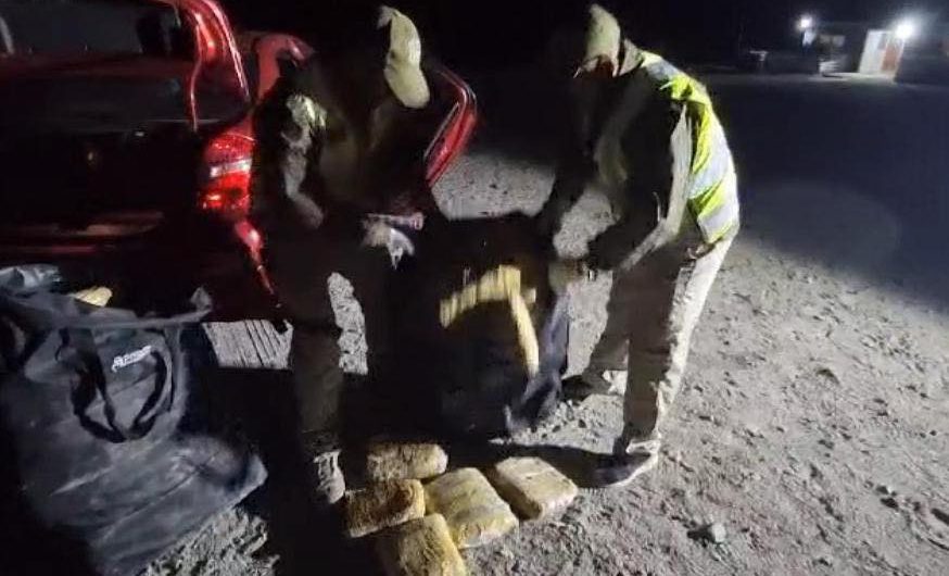 En Chañaral: EJEMPLAR CANINO DEL O.S.7 DETECTA TRASLADO DE 69 KILOS DE MARIHUANA
