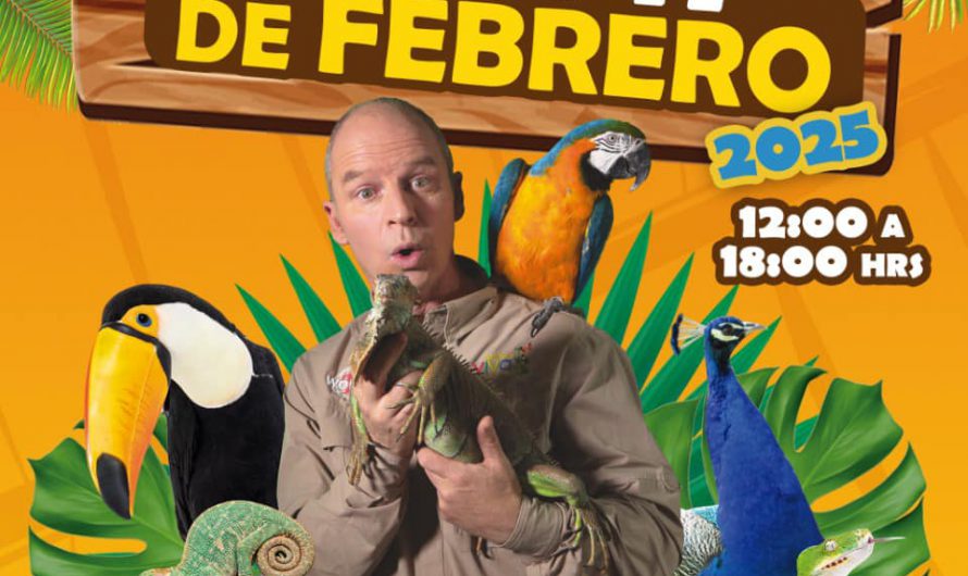 Selva Viva llega a Diego de Almagro: una experiencia única de conexión con  la naturaleza