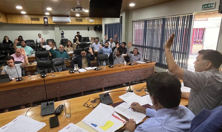 El pleno del Consejo Regional de Atacama aprobó rendir un sentido homenaje a quienes sufrieron los embates de los aluviones de 2015