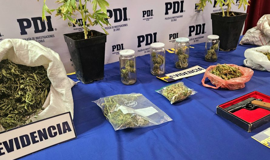 PDI ATACAMA INCAUTÓ CERCA DE DOS KILOS DE CANNABIS EN OPERATIVO MT-0