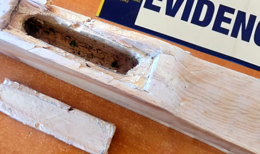 PDI ATACAMA DETUVO A UNA PERSONA QUE INTENTÓ INGRESAR DROGA OCULTA EN TROZOS DE MADERA AL INTERIOR DEL CDP VALLENAR