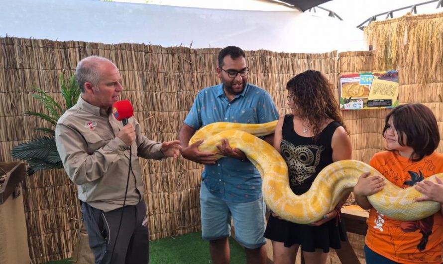 Gold Fields cierra exitoso ciclo de actividades de verano en Chañaral y Diego de Almagro