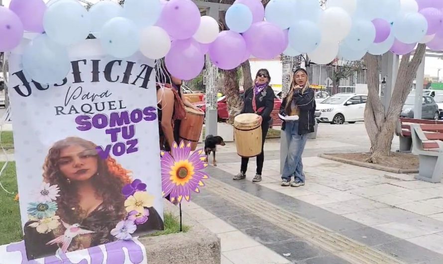Fijan nueva fecha de formalización de investigación por presunto autor de suicidio femicida y maltrato habitual en Copiapó