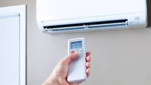 Ola de calor con temperaturas cercanas a 40°: cómo enfrentar el impacto en personas y mascotas en la recta final del año