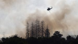 Incendio forestal obliga a evacuar sector de La Serena y activa Alerta Roja comunal
