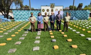 Chañaral: Fiscal Regional destacó labor investigativa en casos de droga incautadas en la Macrozona Norte