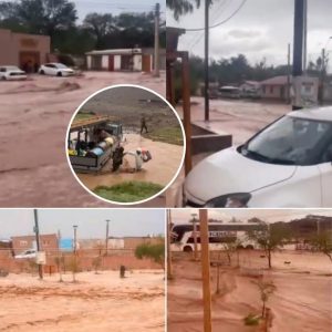 AVISO METEOROLÓGICO: PRONOSTICAN PRECIPITACIONES EN ZONAS CORDILLERANAS DEL NORTE GRANDE