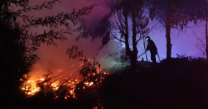 Gobierno reitera llamado a acelerar Ley de Incendios en el Congreso en medio de críticas de forestales