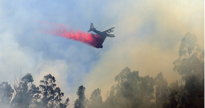 Balance Conaf: 18 incendios forestales en combate y más de 41 mil hectáreas quemadas en 3 regiones