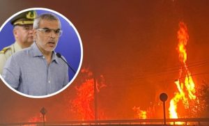 Gobierno confirma 16 muertos por incendios forestales en el Bío Bío y Ñuble
