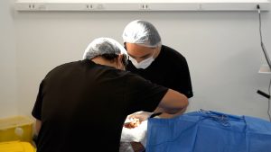 Gobierno Regional y Servicio de Salud Atacama avanzan en reducción de listas de espera con más de 3.000 nuevas prestaciones médicas