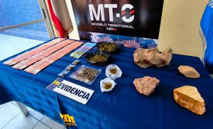 OPERATIVO MT-0 PERMITIÓ LA DETENCIÓN DE TRES HERMANOS Y LA INCAUTACIÓN DE CANNABIS EN VALLENAR