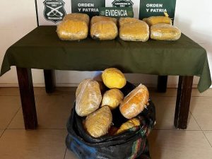 Tras denuncia OS7 de Carabineros encuentra 39 paquetes con marihuana en Ruta C-17