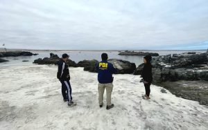 PDI ATACAMA REALIZA DILIGENCIAS INVESTIGATIVAS TRAS CASOS DE MALTRATO ANIMAL EN BAHÍA INGLESA