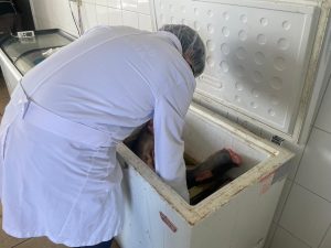 Autoridad Sanitaria decreta prohibición de funcionamiento por riesgo inminente a local de productos del mar en Chañaral