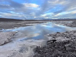 Los salares altoandinos de Atacama que el gobierno de Kast dejó sin protección: Qué contienen y por qué importa