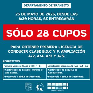 ¿Necesitas sacar la licencia de conducir o renovarla?