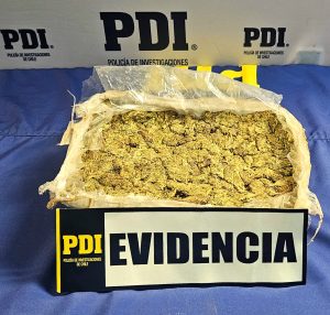 PDI ATACAMA INCAUTÓ MÁS DE UN KILO DE DROGA TRAS OPERATIVO EN LAS TOMAS DE ANDACOLLO
