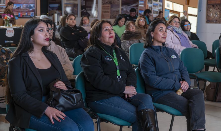Colbún lanza versión 2026 del programa “Energía para  Emprendedores Diego de Almagro”