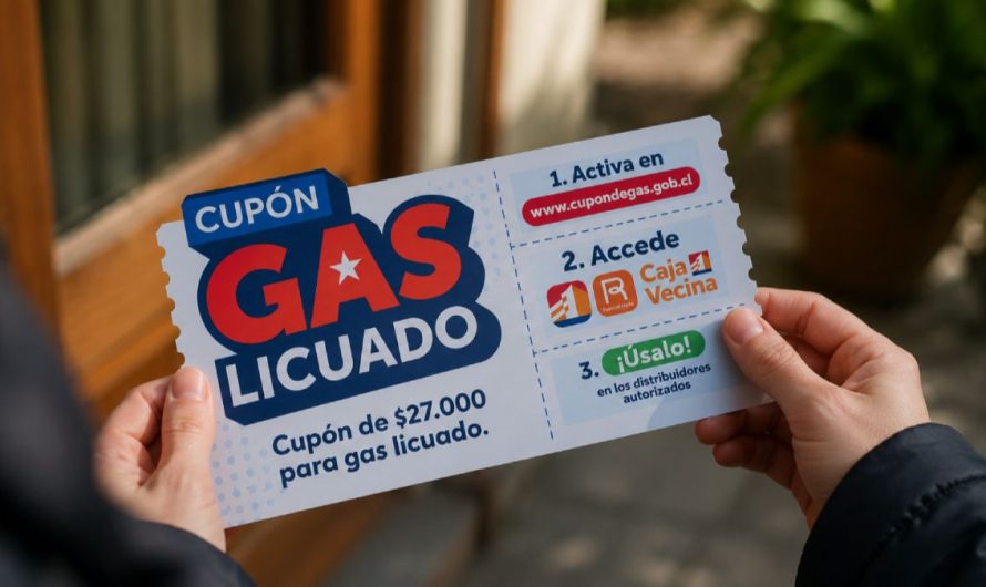 Atacama: Gobierno hace llamado a activar el Cupón de Gas antes del 30 de junio