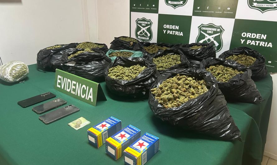Domeyko: Carabineros detuvo a conductor por delito de tráfico y Fiscalía obtuvo su prisión preventiva