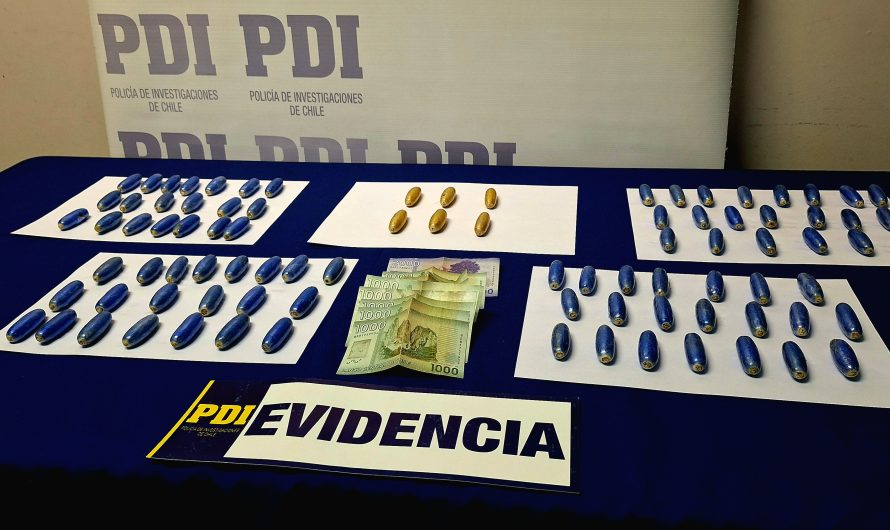 PDI ATACAMA INCAUTÓ MÁS DE UN KILO DE CLORHIDRATO DE COCAÍNA EN COPIAPÓ