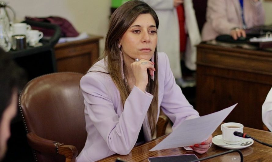 “Salí con más preguntas que certezas»: tras reunión con Hacienda, senadora Cicardini cuestiona manejo de la reconstrucción y propone ley especial