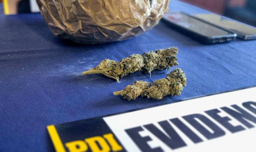 PDI ATACAMA DETUVO A DOS EXTRANJEROS POR INFRACCIÓN A LA LEY DE DROGAS INCAUTANDO CANNABIS Y KETAMINA
