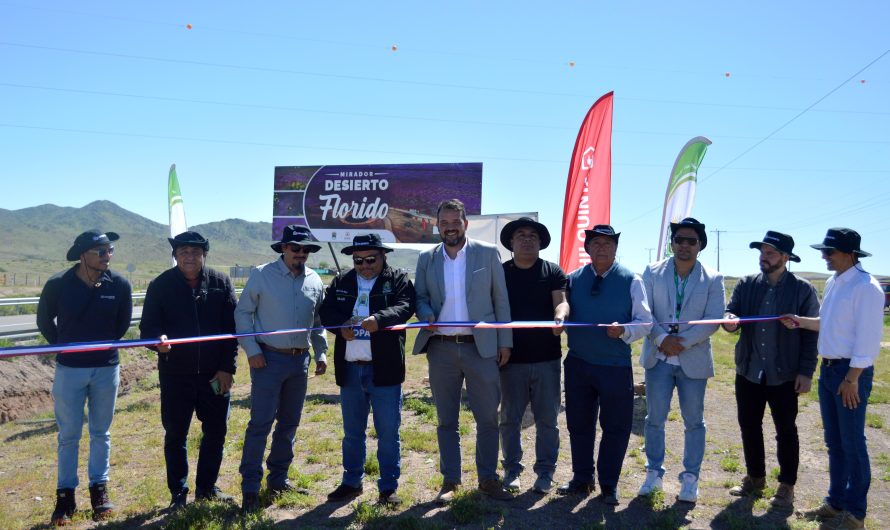 “Mira, Disfruta y Cuida”: lanzan campaña para proteger el Desierto Florido y orientar a sus visitantes