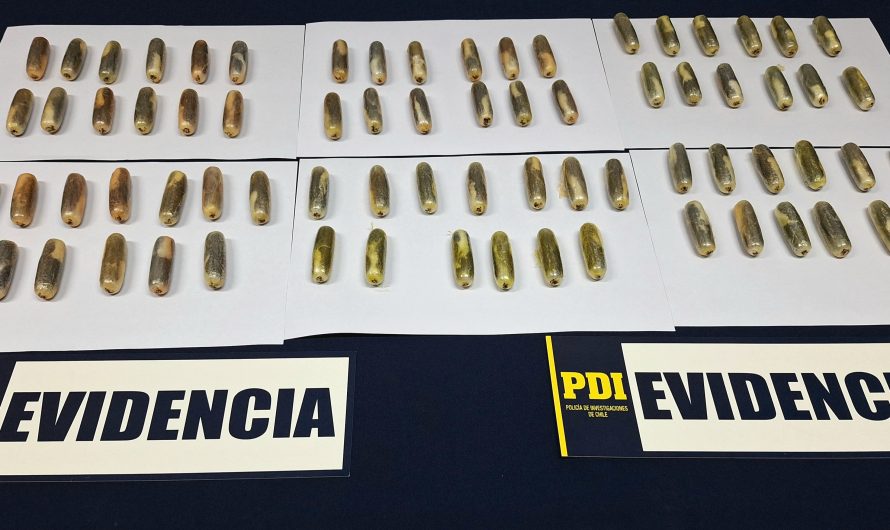PDI ATACAMA INCAUTÓ MÁS DE UN KILO DE COCAÍNA BASE EN MODALIDAD DE OVOIDES