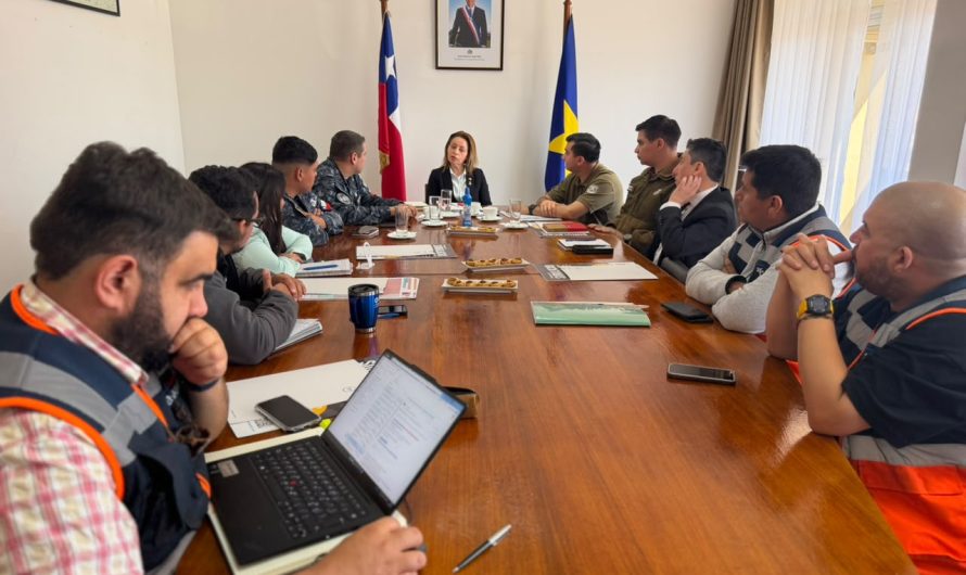 DELEGADA ALEJANDRA MORALES LIDERÓ COORDINACIÓN PREVENTIVA PARA FIESTAS PATRIAS EN LA PROVINCIA DE CHAÑARAL
