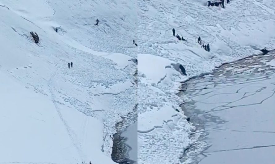 SENAPRED CONFIRMA CUATRO FALLECIDOS Y CUATRO HERIDOS TRAS AVALANCHA EN LAGUNA DEL INCA