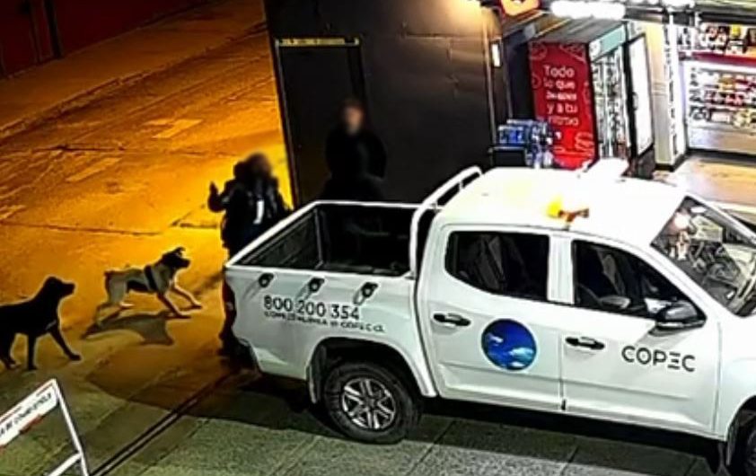 Copiapó: Fiscalía solicitó ampliar detención de imputados por grave agresión con arma blanca